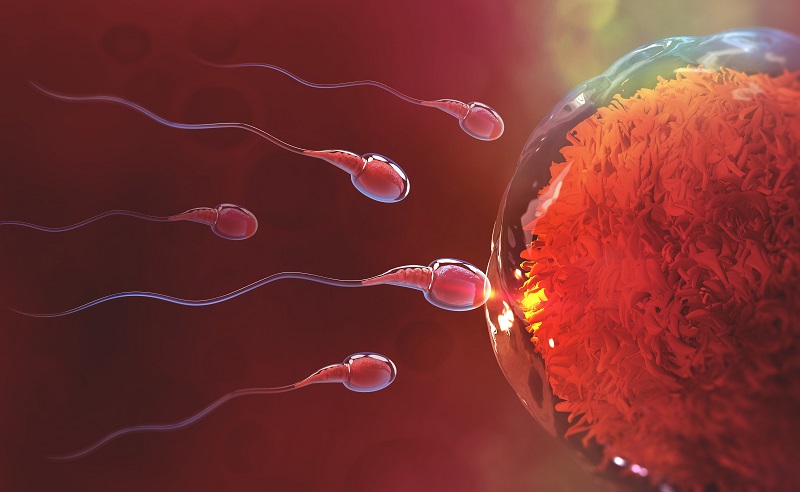 Fertility Centre in Junagadh best ivf center in junagadh ICSI treatment in Junagadh