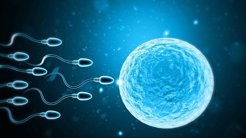 Fertility Centre in Junagadh best ivf center in junagadh ICSI treatment in Junagadh