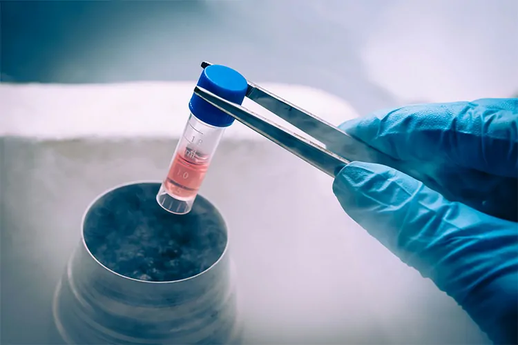 Fertility Centre in Junagadh best ivf center in junagadh ICSI treatment in Junagadh