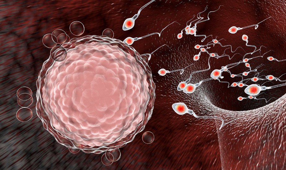 Fertility Centre in Junagadh best ivf center in junagadh ICSI treatment in Junagadh