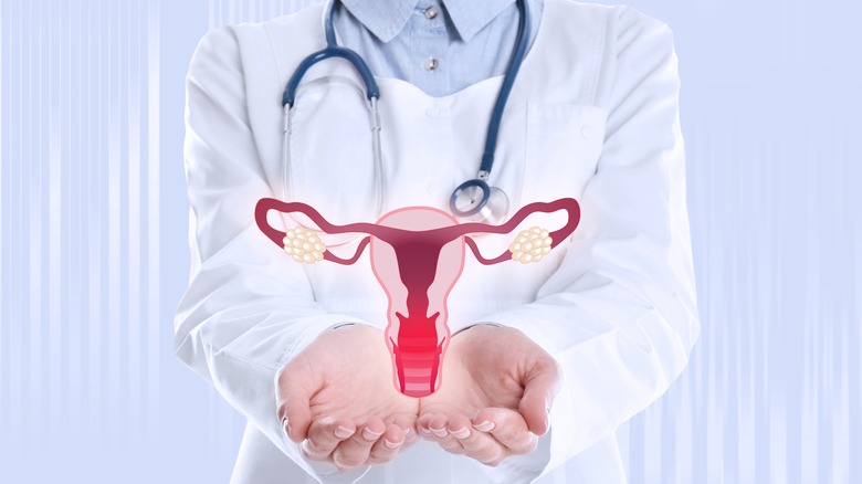 Fertility Centre in Junagadh best ivf center in junagadh ICSI treatment in Junagadh