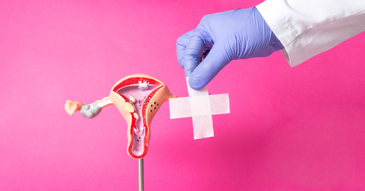 Fertility Centre in Junagadh best ivf center in junagadh ICSI treatment in Junagadh