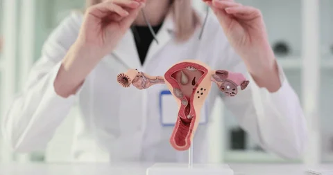 uterine tumors, fertility issues, infertility treatment, pregnancy complications, heavy menstruation, irregular cycles, fibroid removal, reproductive health, hormonal imbalance, IVF treatment, fertility centre in Junagadh, best IVF center in Junagadh, ICSI treatment in Junagadh, conception challenges, assisted reproductive techniques