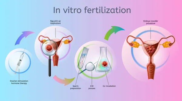 Fertility Centre in Junagadh
best ivf center in junagadh
ICSI treatment in Junagadh