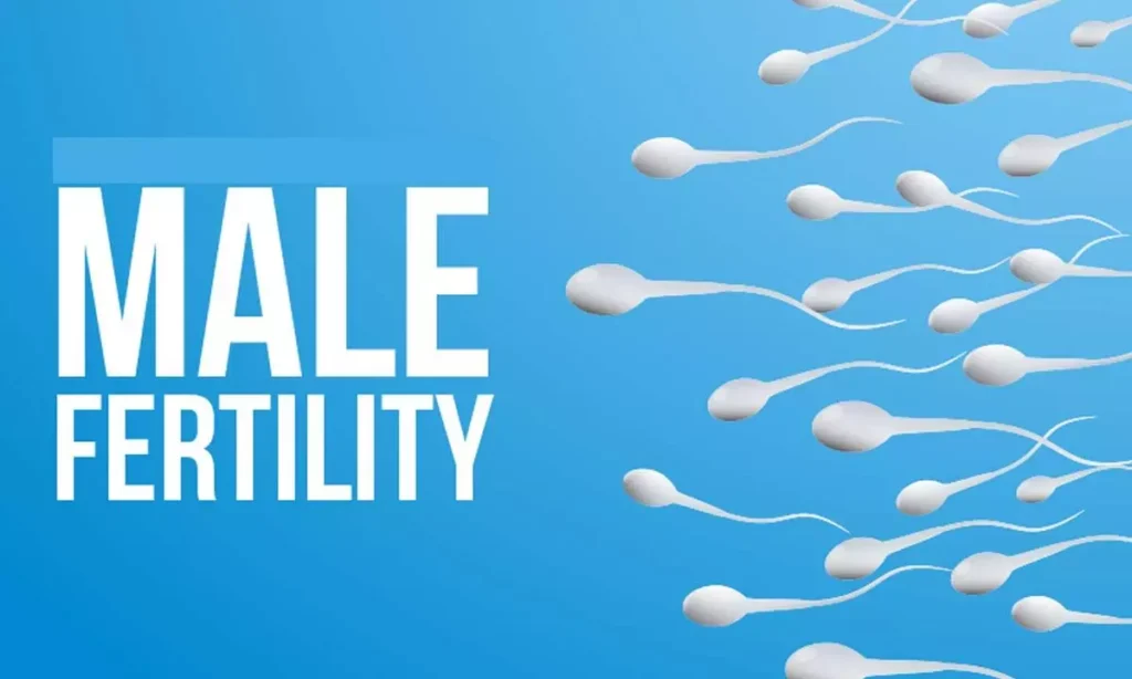 male fertility, best IVF center in Junagadh, Unique IVF Centre, boost sperm quality, improve male fertility, fertility diet, sperm motility, reproductive health, ICSI treatment in Junagadh, fertility foods, zinc for fertility, vitamin C for sperm health, antioxidants for sperm, sperm count improvement, best fertility clinic in Junagadh, nutrition for fertility, healthy sperm diet, IVF treatment in Junagadh, male reproductive health, fertility-friendly foods, sperm health tips
