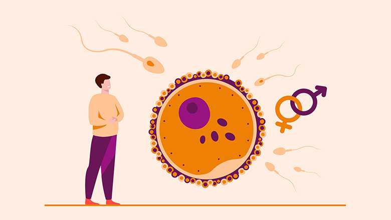 best IVF center in Junagadh, ICSI treatment in Junagadh, male infertility treatment, infertility solutions, low sperm count treatment, azoospermia treatment, hormonal therapy for infertility, sperm retrieval techniques, IVF success rates, fertility specialists in Junagadh, testicular sperm aspiration (TESA), percutaneous epididymal sperm aspiration (PESA), varicocele surgery, assisted reproductive technology, sperm motility improvement, fertility clinic in Junagadh, reproductive health, advanced fertility treatments, IVF clinic in Junagadh