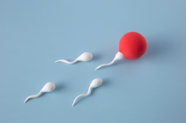 male fertility, best IVF center in Junagadh, Unique IVF Centre, boost sperm quality, improve male fertility, fertility diet, sperm motility, reproductive health, ICSI treatment in Junagadh, fertility foods, zinc for fertility, vitamin C for sperm health, antioxidants for sperm, sperm count improvement, best fertility clinic in Junagadh, nutrition for fertility, healthy sperm diet, IVF treatment in Junagadh, male reproductive health, fertility-friendly foods, sperm health tips