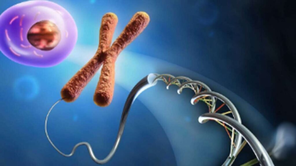 Preimplantation Genetic Testing, PGT in IVF, best IVF center in Junagadh, fertility center in Junagadh, genetic testing for embryos, IVF success rates, ICSI treatment in Junagadh, embryo biopsy, chromosomal analysis, healthy embryos, advanced IVF techniques, infertility treatment, IVF pregnancy success, recurrent miscarriage solution, IVF with PGT, genetic disorder screening, embryo transfer, assisted reproductive technology, IVF failures, advanced maternal age, fertility solutions
