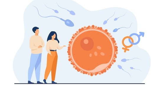 male fertility, best IVF center in Junagadh, Unique IVF Centre, boost sperm quality, improve male fertility, fertility diet, sperm motility, reproductive health, ICSI treatment in Junagadh, fertility foods, zinc for fertility, vitamin C for sperm health, antioxidants for sperm, sperm count improvement, best fertility clinic in Junagadh, nutrition for fertility, healthy sperm diet, IVF treatment in Junagadh, male reproductive health, fertility-friendly foods, sperm health tips