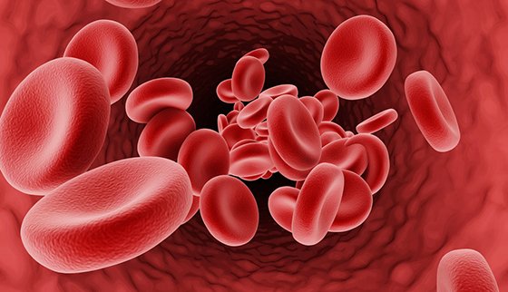 Thalassemia awareness, prenatal screening, fetal medicine, thalassemia major prevention, genetic testing during pregnancy, Unique Hospital Junagadh, best IVF center in Junagadh, fetal health checkup, thalassemia minor couple, pregnancy genetic disorders, IVF success Junagadh, advanced fetal medicine services, early detection of thalassemia, healthy pregnancy tips, reproductive health Junagadh, thalassemia screening Junagadh, prenatal genetic counseling, fetal anomaly scan Junagadh, IVF and fetal medicine, thalassemia carrier testing