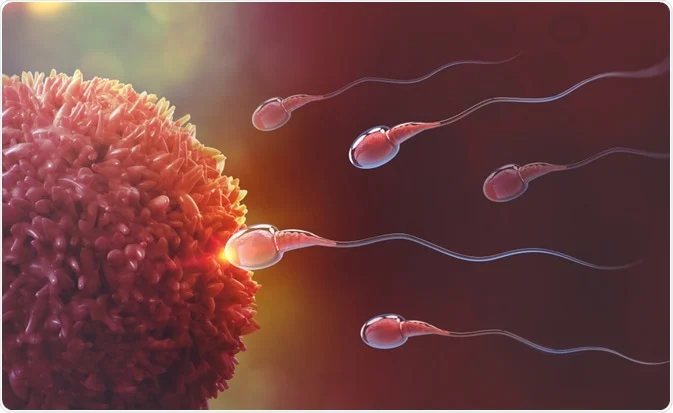 best IVF center in Junagadh, ICSI treatment in Junagadh, male fertility, semen analysis, male infertility treatment, low sperm count, poor sperm motility, abnormal sperm morphology, hormone imbalance in men, testosterone therapy, erectile dysfunction, ejaculation problems, fertility issues in men, male reproductive health, Dr. Pravin Dudhat, fertility specialist in Junagadh, testicular biopsy, sperm retrieval techniques, semen quality, vas deferens blockage, male fertility diagnosis, male hormone therapy, lifestyle and fertility, emotional support fertility, scrotal ultrasound, advanced fertility support, Unique IVF Centre Junagadh, male fertility evaluation