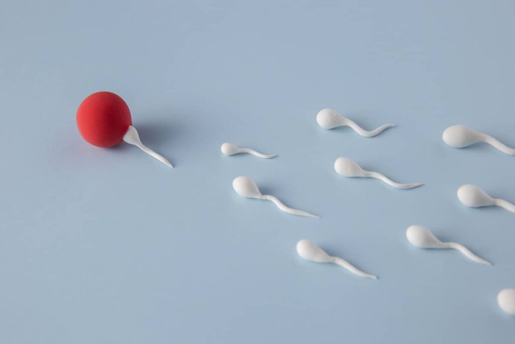 best IVF center in Junagadh, ICSI treatment in Junagadh, male fertility, semen analysis, male infertility treatment, low sperm count, poor sperm motility, abnormal sperm morphology, hormone imbalance in men, testosterone therapy, erectile dysfunction, ejaculation problems, fertility issues in men, male reproductive health, Dr. Pravin Dudhat, fertility specialist in Junagadh, testicular biopsy, sperm retrieval techniques, semen quality, vas deferens blockage, male fertility diagnosis, male hormone therapy, lifestyle and fertility, emotional support fertility, scrotal ultrasound, advanced fertility support, Unique IVF Centre Junagadh, male fertility evaluation