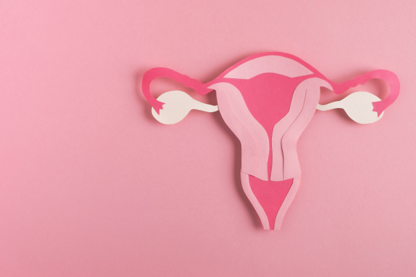 fallopian tube blockage, reasons for fallopian tube closure, infertility in women, ICSI treatment in Junagadh, best IVF center in Junagadh, fertility treatment Junagadh, tubal infertility solutions, pelvic inflammatory disease and fertility, genital tuberculosis and fertility, miscarriages and fallopian tube damage, best fertility Centre in Junagadh, blocked fallopian tube treatment, fertility clinic Junagadh, reproductive health solutions, IVF treatment Junagadh, hormonal contraception and fertility, causes of infertility in women, advanced fertility care, Unique IVF Center Junagadh, female reproductive health