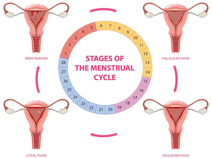 irregular periods treatment in Junagadh, causes of irregular menstruation, Unique IVF Hospital Junagadh, best IVF center in Junagadh, PCOS and fertility issues, ICSI treatment in Junagadh, hormonal imbalance periods, gynecologist for irregular periods Junagadh, menstrual health awareness, fertility clinic Junagadh
