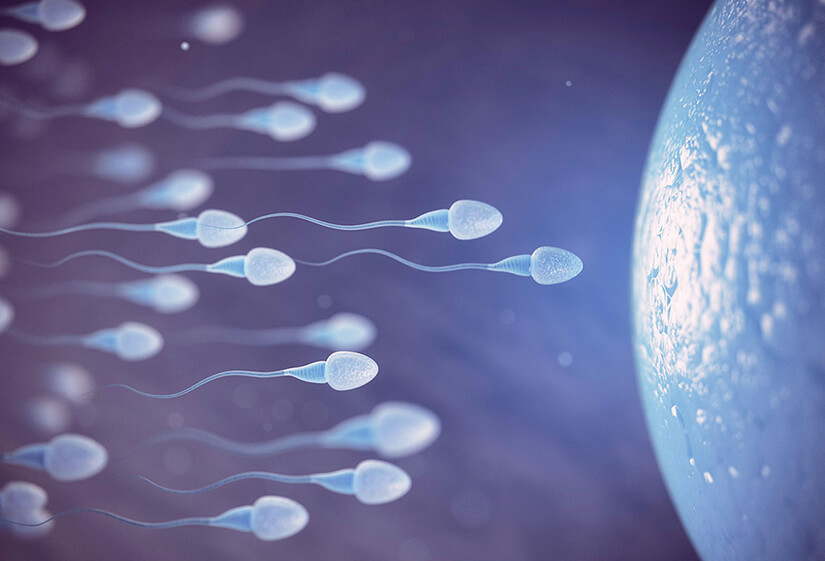 Azoospermia treatment in Junagadh, best fertility centre in Junagadh, best IVF center in Junagadh, male infertility treatment in Junagadh, causes of azoospermia, symptoms of azoospermia, obstructive azoospermia treatment Junagadh, non-obstructive azoospermia treatment Junagadh, surgical treatment for azoospermia Junagadh, hormone therapy for male infertility, sperm retrieval techniques in Junagadh, TESE treatment in Junagadh, IVF with ICSI in Junagadh, infertility diagnosis in Junagadh, semen analysis in Junagadh, genetic testing for infertility Junagadh, male fertility specialist in Junagadh, infertility solutions for men Junagadh, azoospermia and IVF success Junagadh, advanced fertility treatments in Junagadh, confidential infertility care Junagadh, best infertility doctor in Junagadh, azoospermia causes and treatments, parenthood solutions in Junagadh