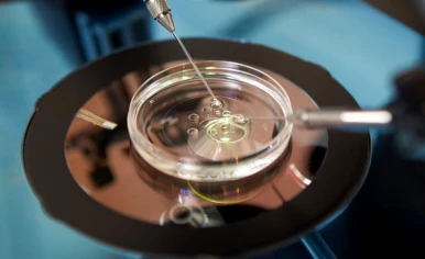 Azoospermia treatment in Junagadh, best fertility centre in Junagadh, best IVF center in Junagadh, male infertility treatment in Junagadh, causes of azoospermia, symptoms of azoospermia, obstructive azoospermia treatment Junagadh, non-obstructive azoospermia treatment Junagadh, surgical treatment for azoospermia Junagadh, hormone therapy for male infertility, sperm retrieval techniques in Junagadh, TESE treatment in Junagadh, IVF with ICSI in Junagadh, infertility diagnosis in Junagadh, semen analysis in Junagadh, genetic testing for infertility Junagadh, male fertility specialist in Junagadh, infertility solutions for men Junagadh, azoospermia and IVF success Junagadh, advanced fertility treatments in Junagadh, confidential infertility care Junagadh, best infertility doctor in Junagadh, azoospermia causes and treatments, parenthood solutions in Junagadh
