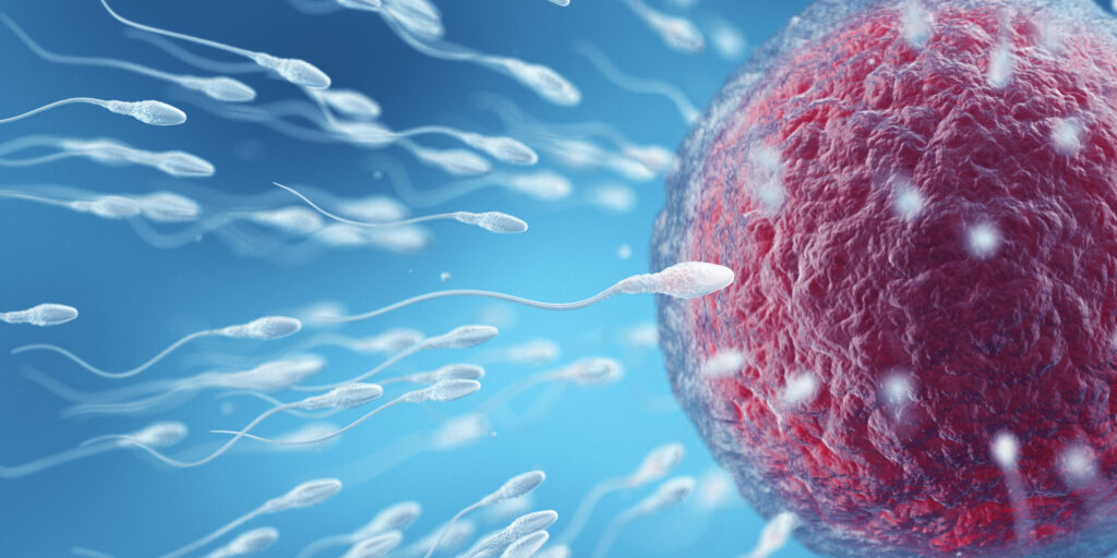 Unique IVF Hospital Junagadh, best IVF center in Junagadh, fertility centre in Junagadh, egg quality and fertility, how to improve egg quality, lifestyle tips for egg health, ICSI treatment in Junagadh, IVF success and egg quality, reproductive health Junagadh, fertility diet tips, egg preservation Junagadh, women’s fertility care Junagadh, stress and fertility, healthy lifestyle for conception, improving female fertility naturally, fertility expert Junagadh