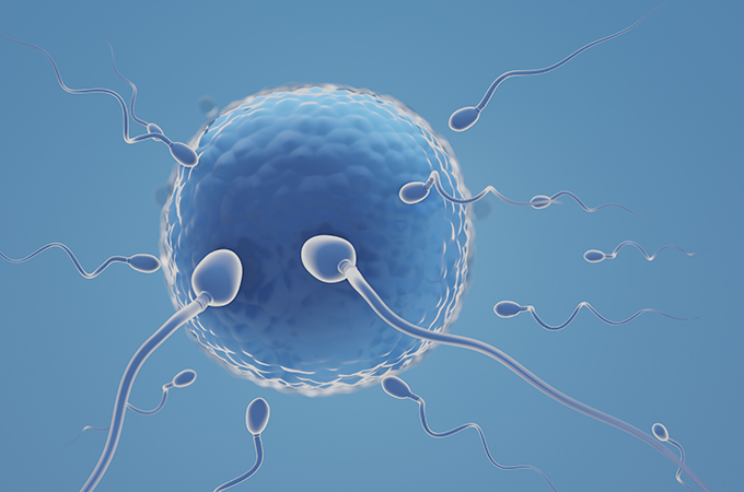 Fertility Centre in Junagadh, best IVF center in Junagadh, sperm freezing in Junagadh, egg freezing in Junagadh, fertility preservation in Junagadh, ICSI treatment in Junagadh, IVF treatment in Junagadh, embryo freezing in Junagadh, reproductive health in Junagadh, delayed childbearing fertility solutions Junagadh, chemotherapy fertility preservation Junagadh, genetic condition fertility preservation Junagadh, infertility treatment in Junagadh, advanced fertility treatments Junagadh, vitrification egg freezing Junagadh, semen freezing Junagadh, Unique IVF Hospital Junagadh, fertility specialists in Junagadh, embryologists in Junagadh, parenthood planning Junagadh