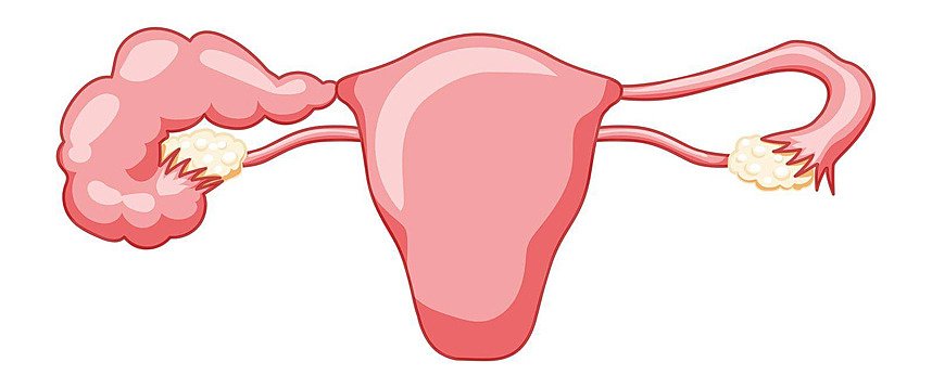 causes of infertility in women, infertility reasons in women, infertility treatment Junagadh, Unique IVF Hospital Junagadh, best IVF center in Junagadh, fertility centre in Junagadh, ICSI treatment in Junagadh, women infertility symptoms, mental stress infertility, uterine disorders infertility, fallopian tube blockage infertility, PCOS infertility, endometriosis infertility, hormonal imbalance women fertility, age-related infertility, irregular menstruation infertility, overweight infertility issues, underweight fertility problems, IVF treatment Junagadh, fertility diagnosis Junagadh,