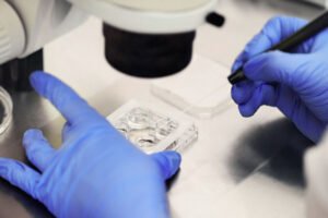 IVF center Junagadh, best IVF center in Junagadh, fertility centre Junagadh, IVF treatment Junagadh, ICSI treatment Junagadh, infertility treatment Junagadh, fertility clinic Junagadh, test tube baby center Junagadh, PCOS fertility treatment, male infertility treatment, female infertility solutions, advanced fertility treatments India, IVF success rate Junagadh, reproductive health clinic Junagadh, parenthood journey IVF